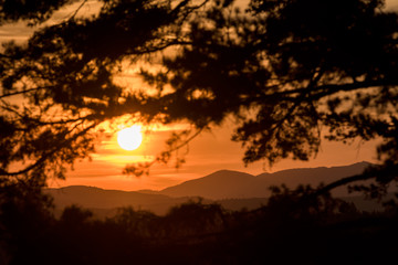 Beautiful sunset scene in mountains. Zlatibor, Serbia