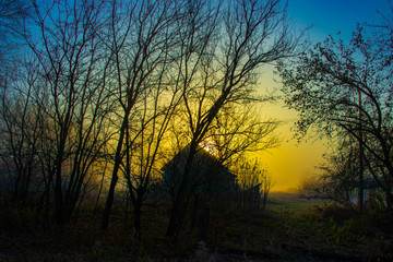 Fototapeta na wymiar sunset in forest