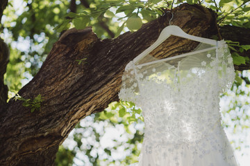 Modern bridal fashion. White wedding dress hanging on a tree outdoors in the garden.