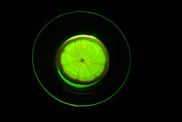 Lemon slice lying on a glass saucer illuminated by a light-emitting diode