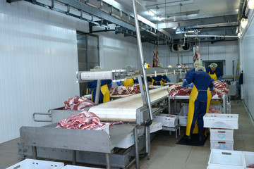 At the slaughterhouse. View of the cutting room: conveyor with a pieces of meat, butchers working