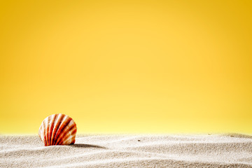 Summer background of sand and shell with yellow background 