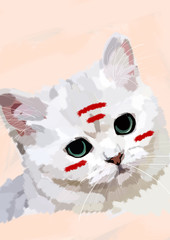 cat boy