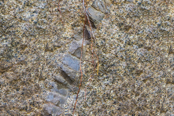 Beautiful stones with spots and textures. Can be used as background