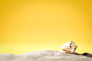 Fototapeta na wymiar Summer background of sand and shell with yellow background 