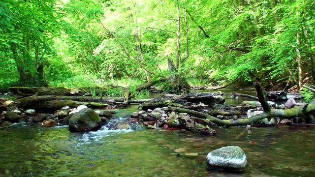 Naturraum in Mecklenburg-Vorpommern: das Tal des Nebel