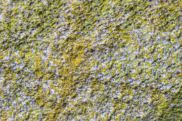Beautiful stones with spots and textures. Can be used as background