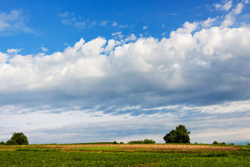 White clouds in the blue sky over the field in the summer_