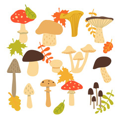 Forest mushroom collection. Set of items isolated on white background. Vector illustration.