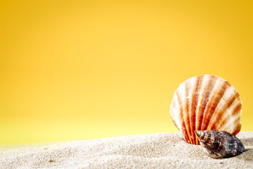 Summer background of sand and shell with yellow background 