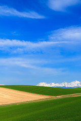 日本　北海道　青空と草原テクスチャ