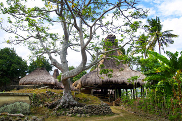 traditional hut of inhabitant in sumba island  -indonesia