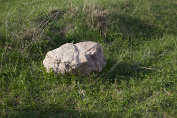 Beautiful nature in the Lipetsk region