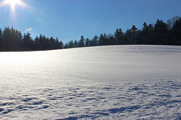 Schneehügel vor Wald