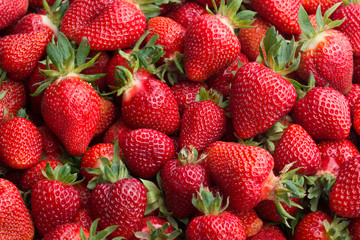 Fresh ripe strawberries