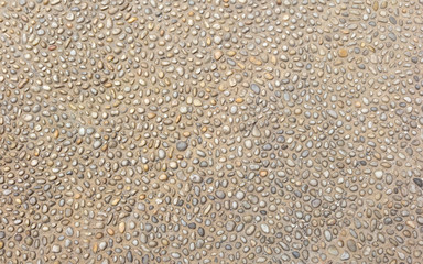 Small rounded stones in the ground.