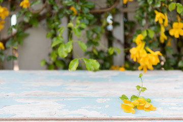 Vintage wooden tabletop with beautiful yellow flowers and green leaves background