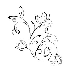 ornament of flower buds, leaves and curls in black lines on a white background