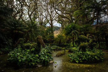 Animal sculptures in Parque Terra Nostra, Furnas, Sao Miguel Island, Azores, Portugal