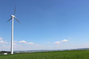Fototapeta premium windrad auf wiese mit blauem himmel