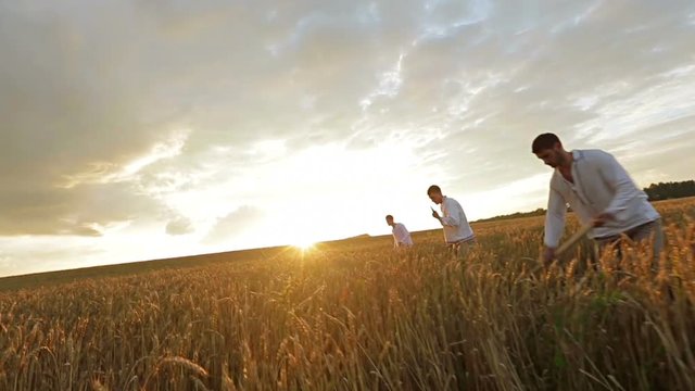People in the field mowing wheat scythe