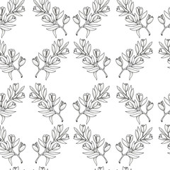 illustration of seamless pattern of twigs with flowers black lines on white background. branches in the form of rhombuses.  for design, paper, fabric