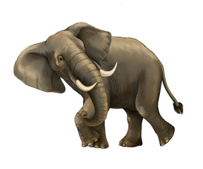 Obraz premium cartoon scene with big elephant on white background safari illustration for children