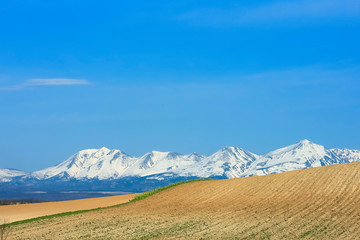 Fototapeta premium 日本 北海道 山と青空背景
