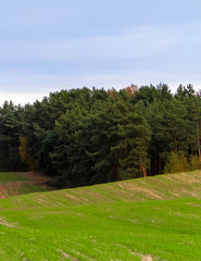 Green field and hills. Nature of northern Poland.