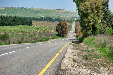 Fototapeta na wymiar View of the road in Upper Galilee, Israel
