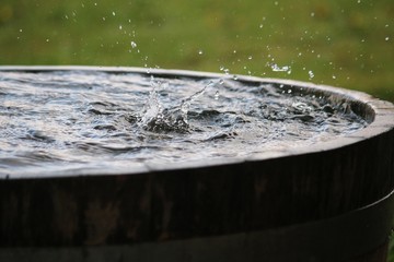 rain is falling in a wooden barrel full of water in the garden