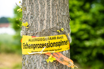 Oak processionary spinner on a tree with warning