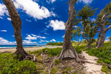 Eton Beach, Efate Island, Vanuatu, near Port Vila - famous beach on the east coast