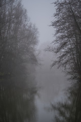 Fototapeta na wymiar Misty river in the netherlands