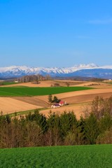 Obraz premium 日本の北海道の大地 青空と山