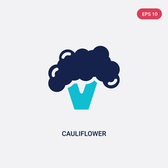 two color cauliflower vector icon from fruits concept. isolated blue cauliflower vector sign symbol can be use for web, mobile and logo. eps 10