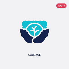 two color cabbage vector icon from fruits concept. isolated blue cabbage vector sign symbol can be use for web, mobile and logo. eps 10