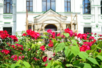 Fototapeta na wymiar flowers in front of an old house