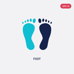 Fototapeta na wymiar two color foot vector icon from general concept. isolated blue foot vector sign symbol can be use for web, mobile and logo. eps 10