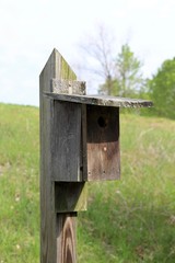 A close view of the old wood box birdhouse on a post.