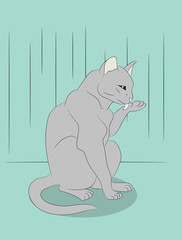 vector illustration of a cat that sits in the room