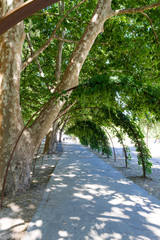 Moncao north of Portugal. Natural park with leisure area with walkways, the river Minho and beautiful vegetation