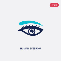 two color human eyebrow vector icon from human body parts concept. isolated blue human eyebrow vector sign symbol can be use for web, mobile and logo. eps 10