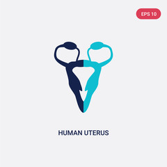 two color human uterus vector icon from human body parts concept. isolated blue human uterus vector sign symbol can be use for web, mobile and logo. eps 10