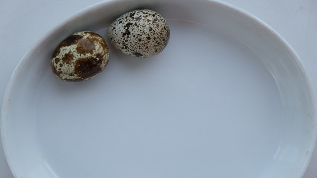 quail eggs, yolk, tomato,