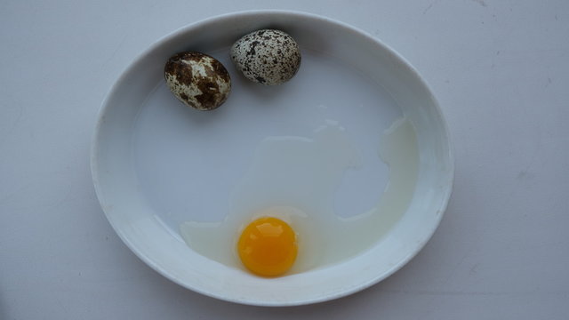 quail eggs, yolk, tomato,