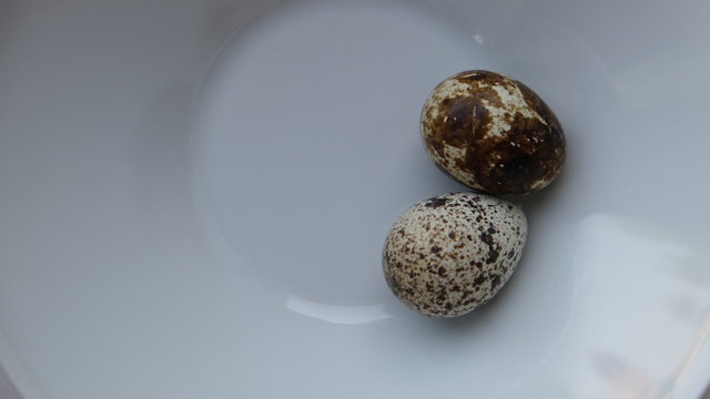 quail eggs, yolk, tomato,