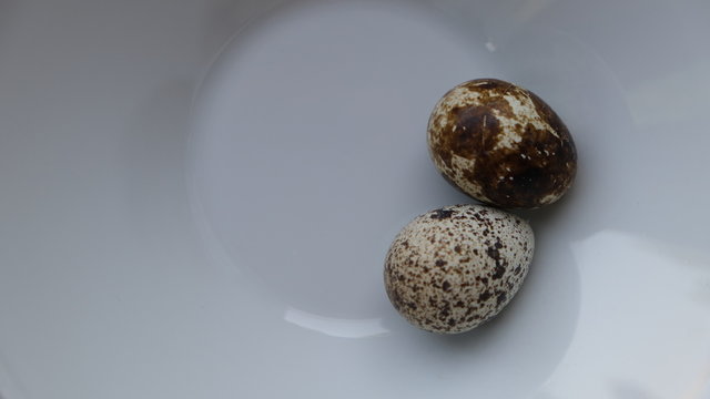 quail eggs, yolk, tomato,