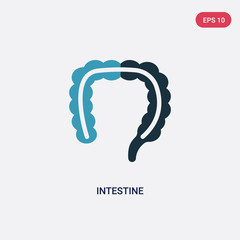 two color intestine vector icon from medical concept. isolated blue intestine vector sign symbol can be use for web, mobile and logo. eps 10