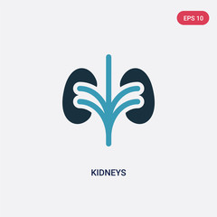 two color kidneys vector icon from medical concept. isolated blue kidneys vector sign symbol can be use for web, mobile and logo. eps 10